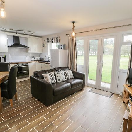 Driftwood, Harlech Appartement Buitenkant foto